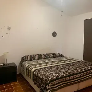 https://spacio-nube.quintano-roohotels.com